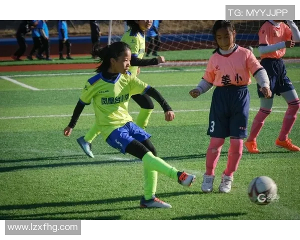 智力足球球星的成长历程与绿茵场上非凡技艺解析